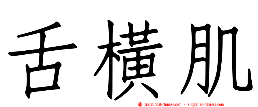 舌橫肌