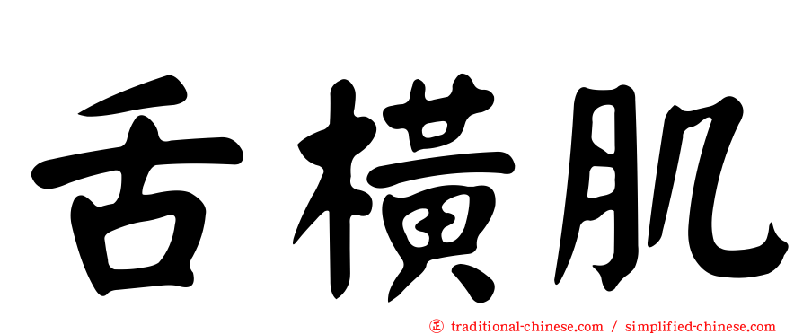 舌橫肌