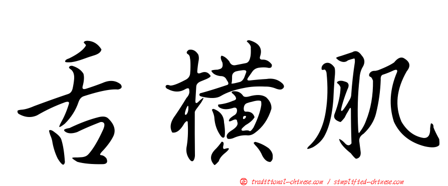 舌橫肌