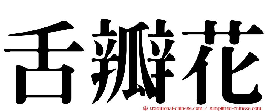 舌瓣花