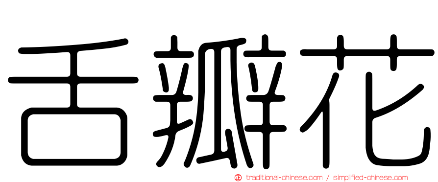 舌瓣花