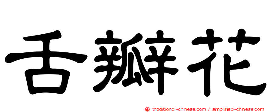 舌瓣花