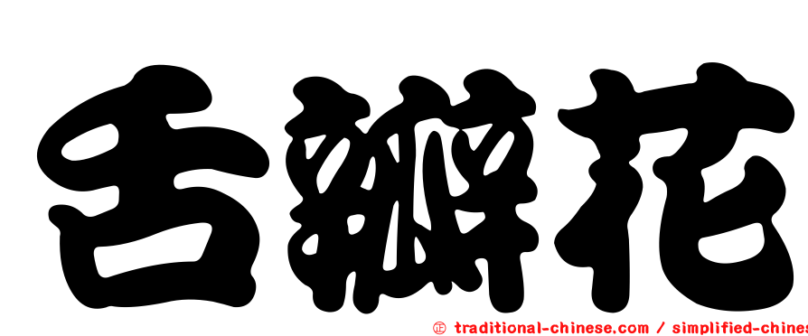 舌瓣花