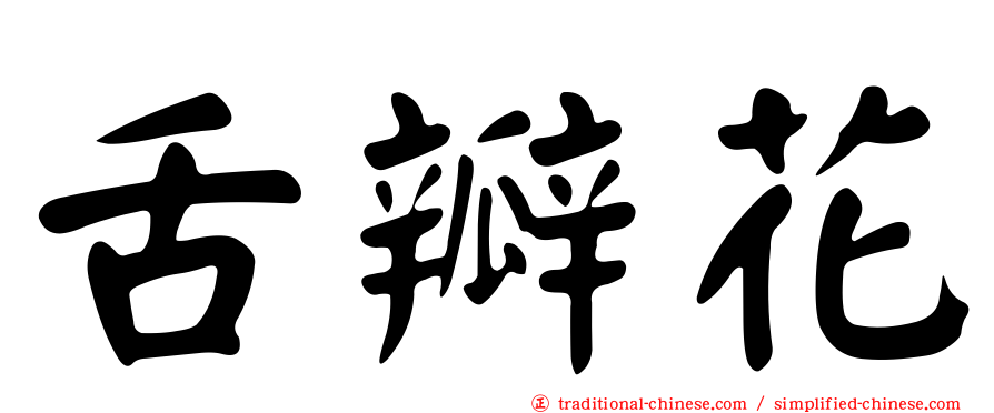 舌瓣花