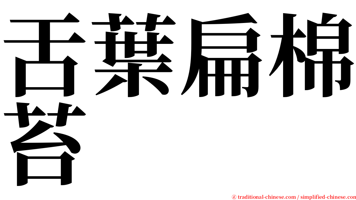 舌葉扁棉苔 serif font