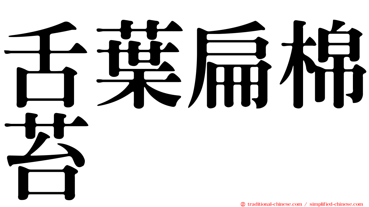 舌葉扁棉苔