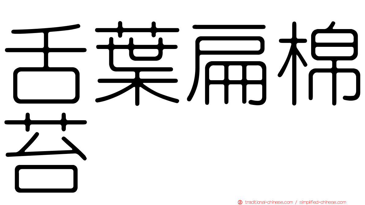 舌葉扁棉苔