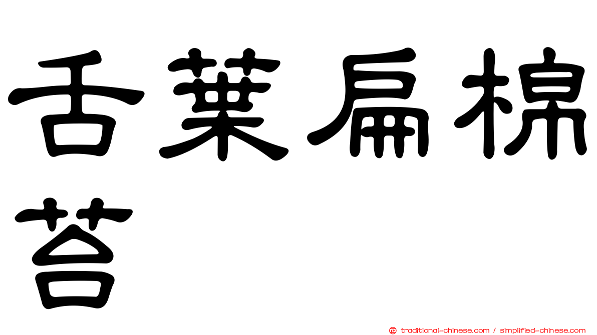 舌葉扁棉苔