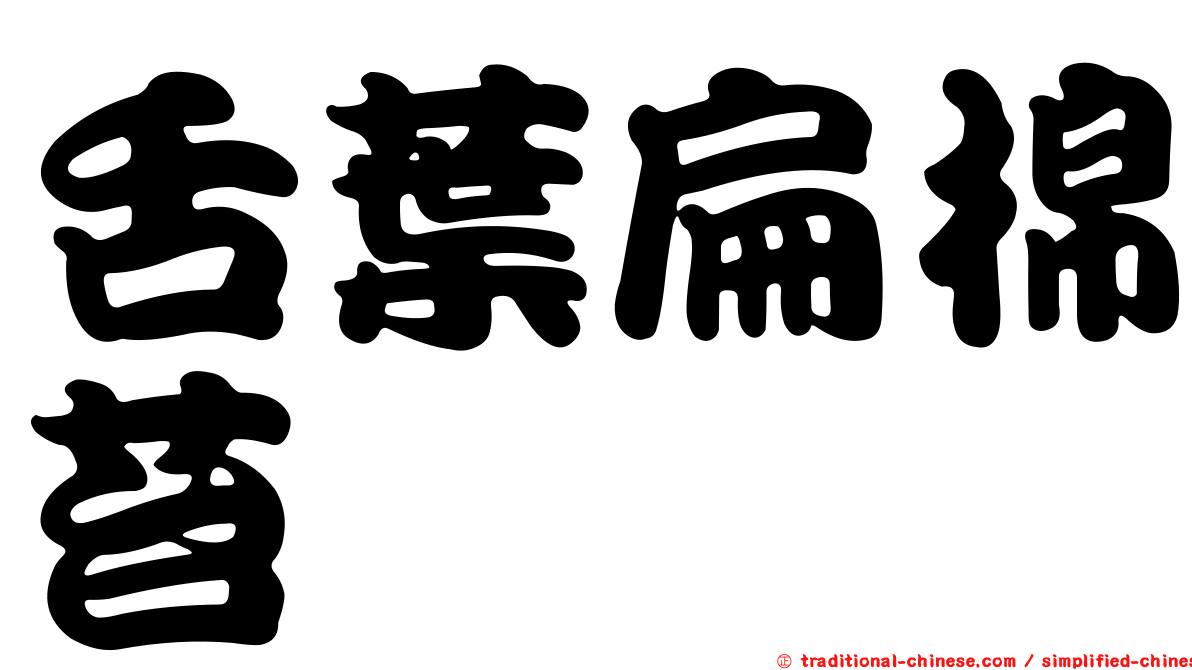 舌葉扁棉苔