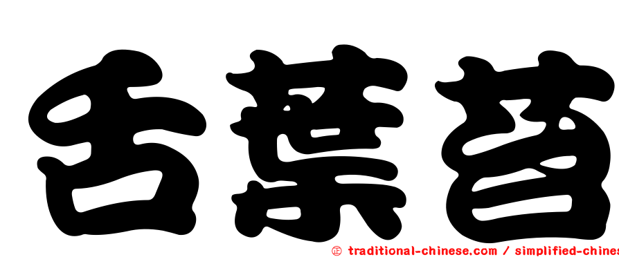舌葉苔