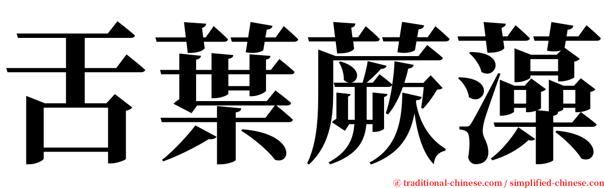 舌葉蕨藻 serif font
