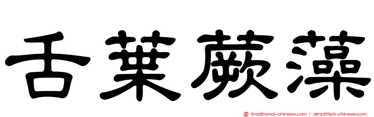 舌葉蕨藻