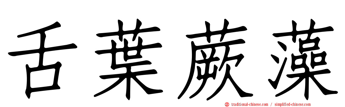 舌葉蕨藻