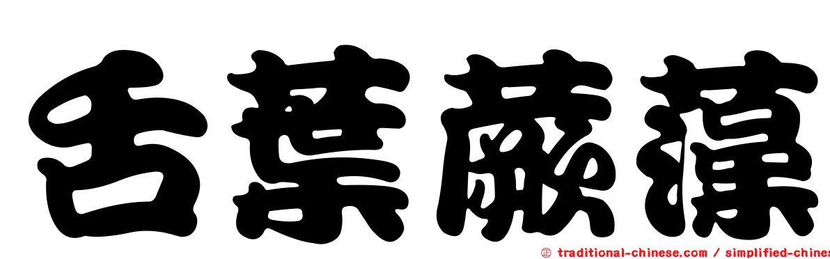 舌葉蕨藻