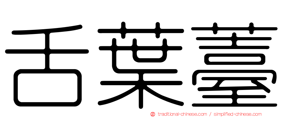 舌葉薹