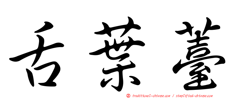 舌葉薹
