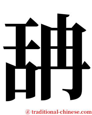 舑 serif font