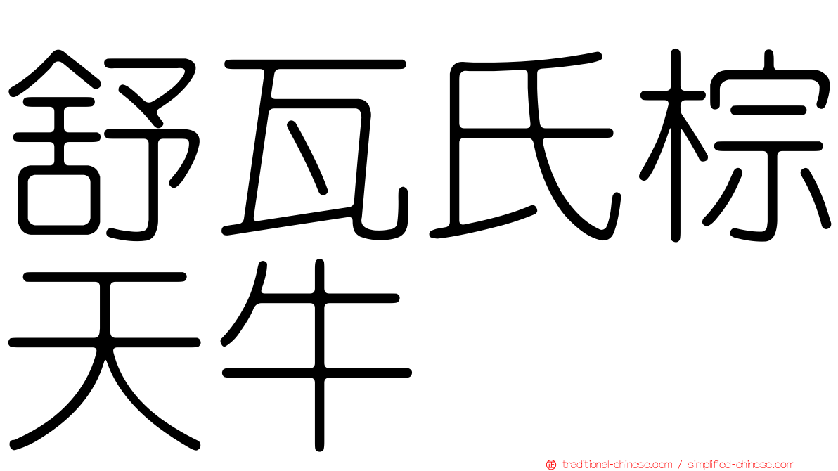 舒瓦氏棕天牛