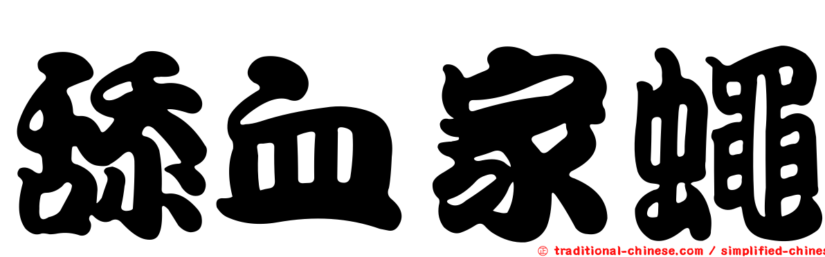舔血家蠅