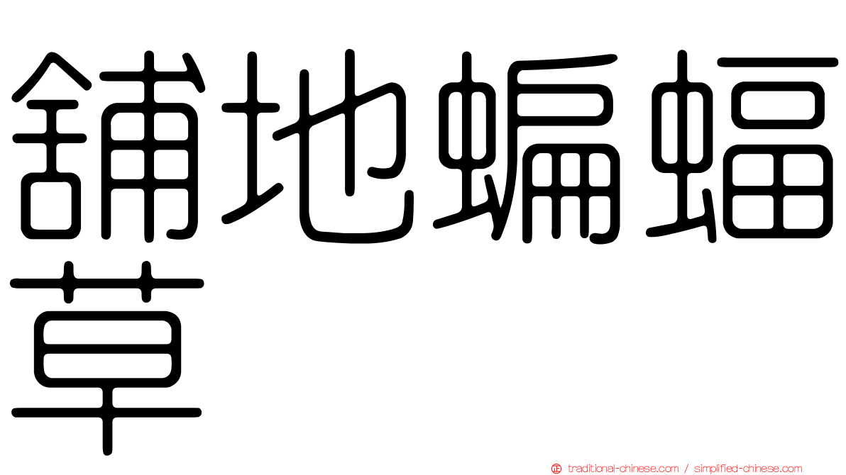 舖地蝙蝠草