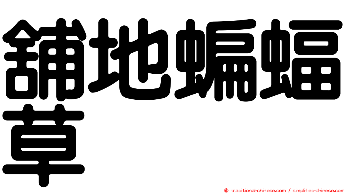 舖地蝙蝠草