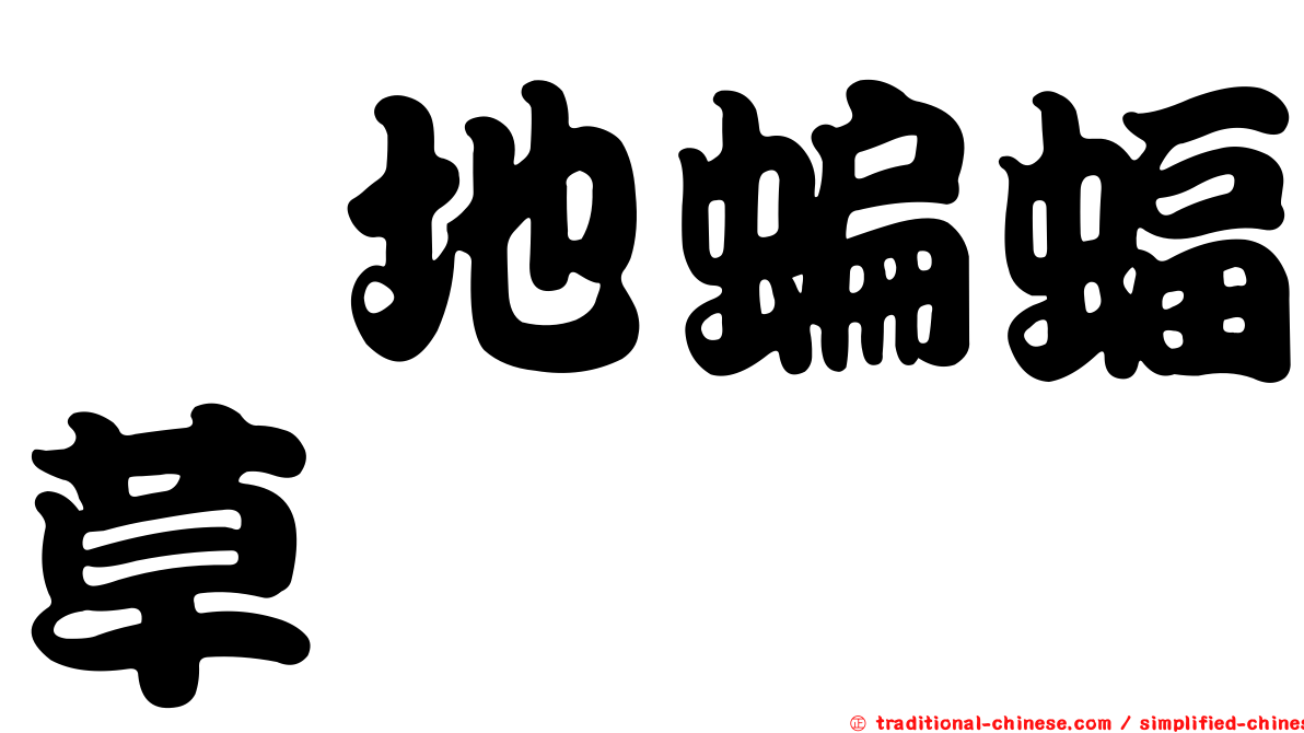 舖地蝙蝠草