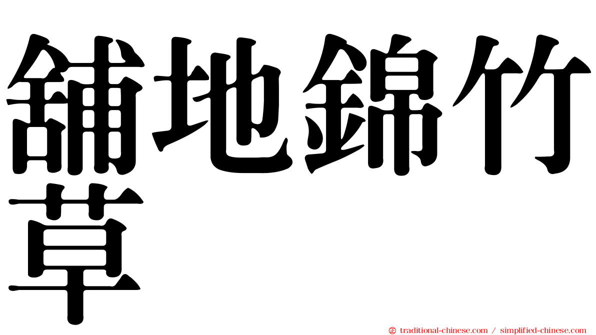 舖地錦竹草