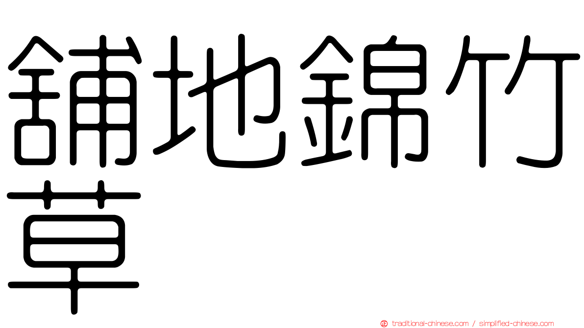舖地錦竹草