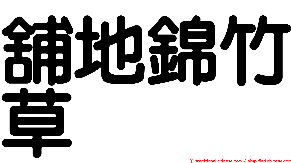 舖地錦竹草