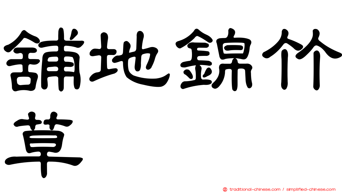 舖地錦竹草
