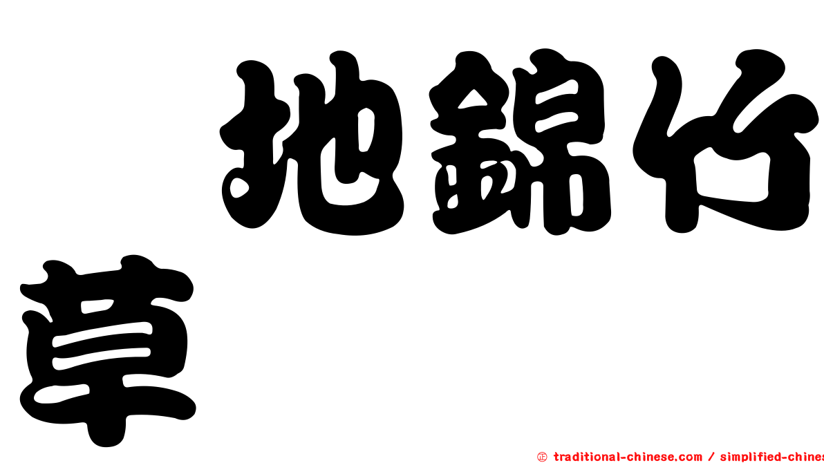 舖地錦竹草