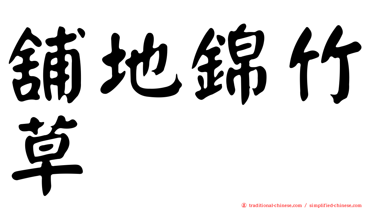 舖地錦竹草