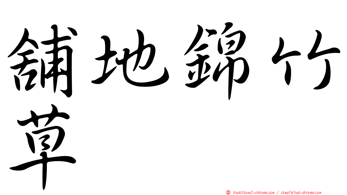 舖地錦竹草