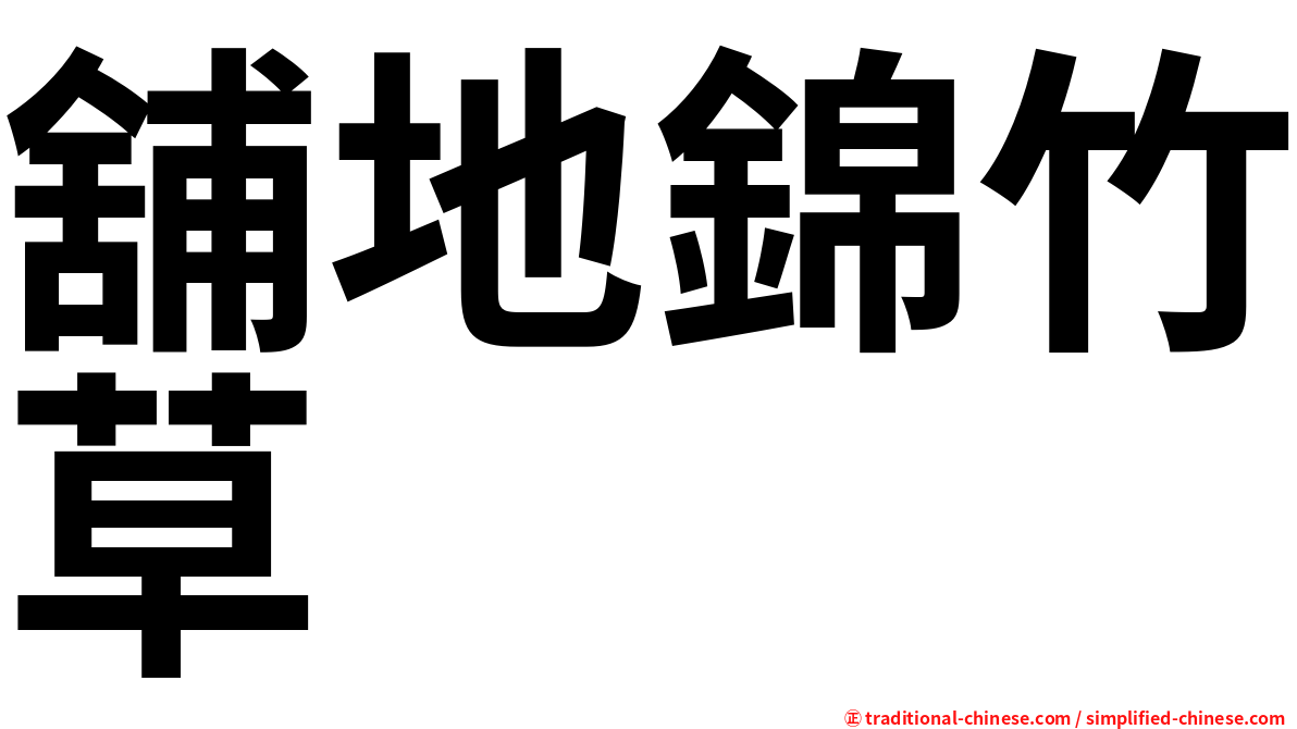 舖地錦竹草
