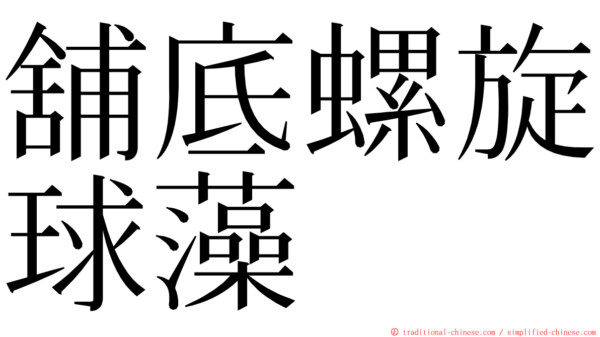 舖底螺旋球藻 ming font