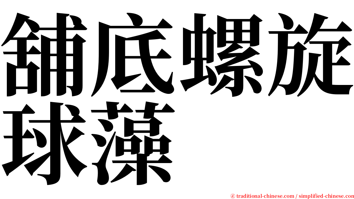 舖底螺旋球藻 serif font