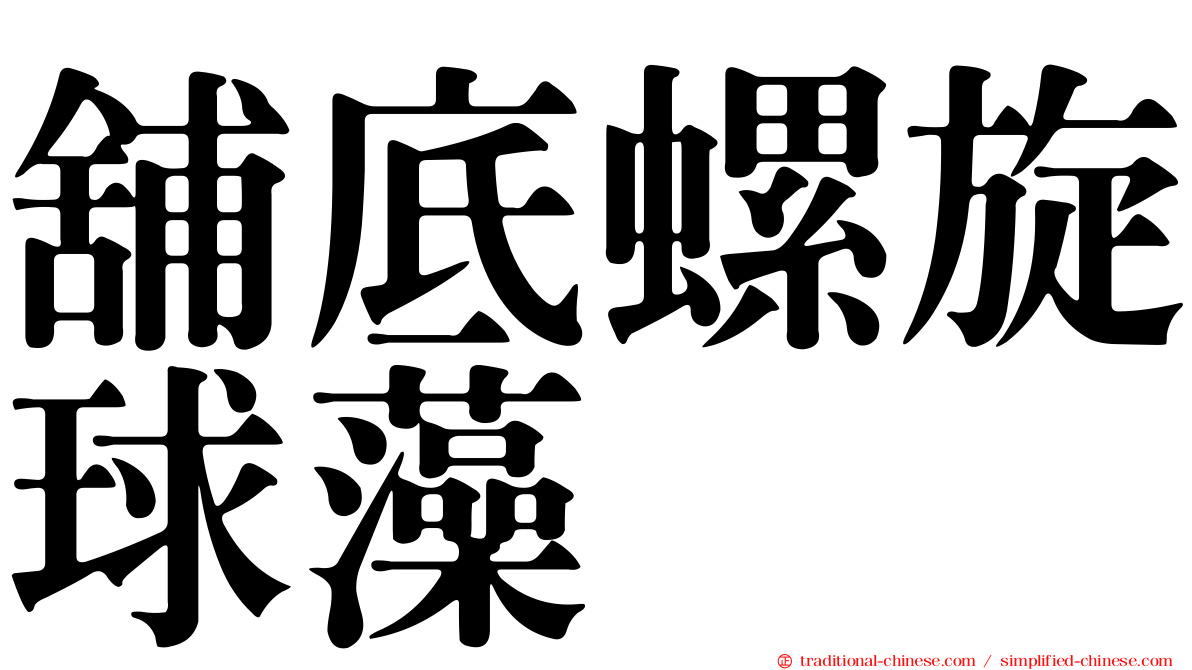 舖底螺旋球藻