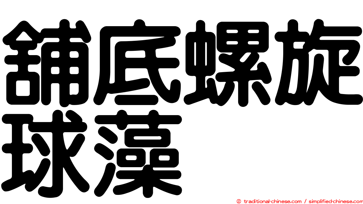 舖底螺旋球藻