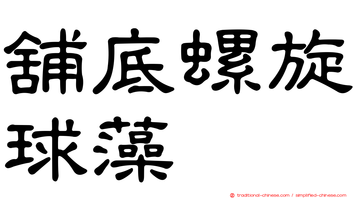 舖底螺旋球藻