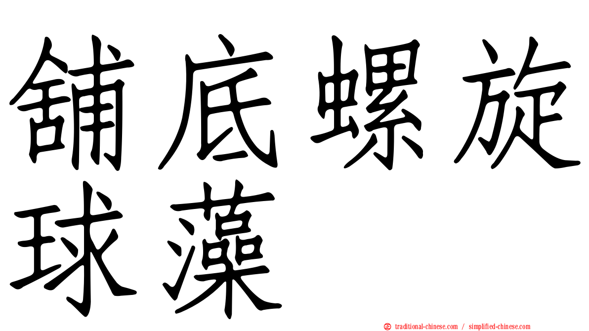 舖底螺旋球藻