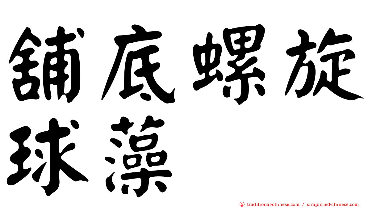 舖底螺旋球藻