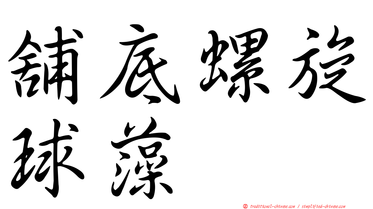舖底螺旋球藻