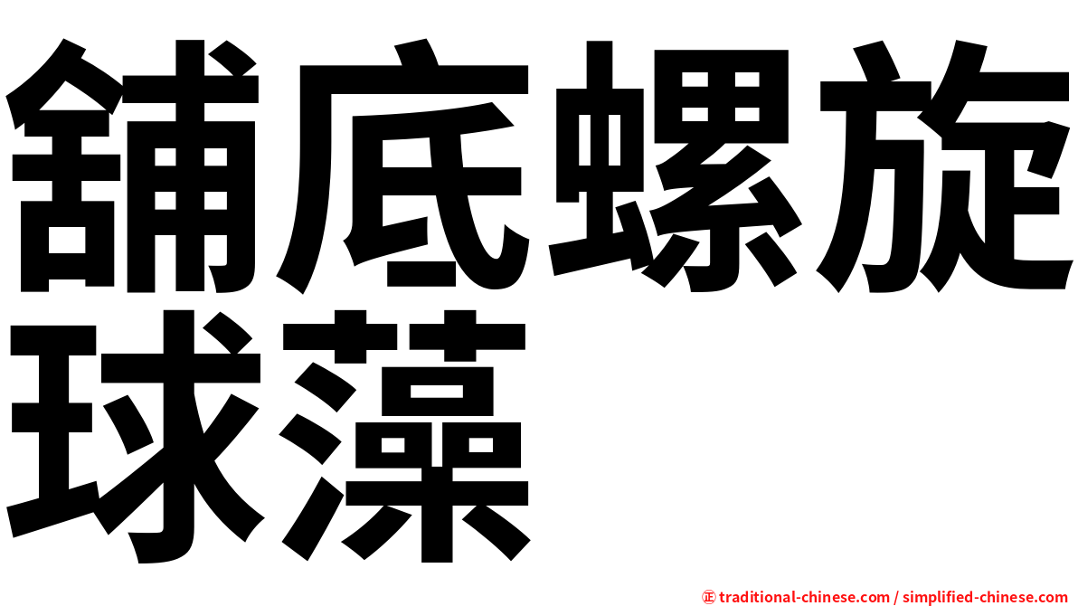 舖底螺旋球藻
