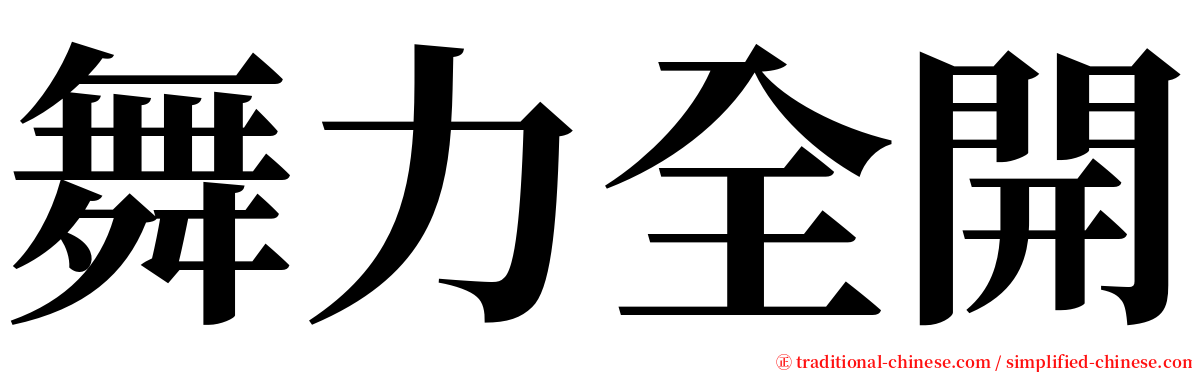 舞力全開 serif font