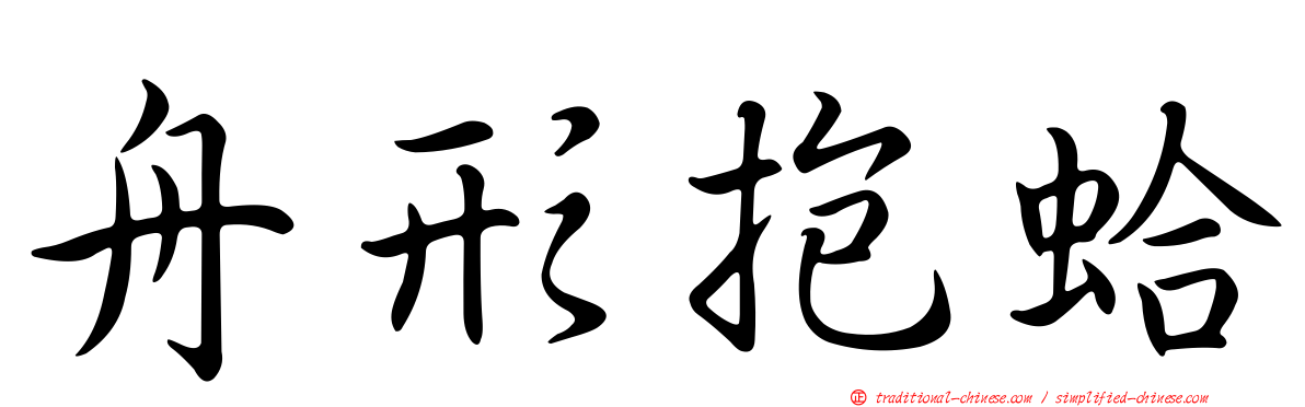 舟形抱蛤