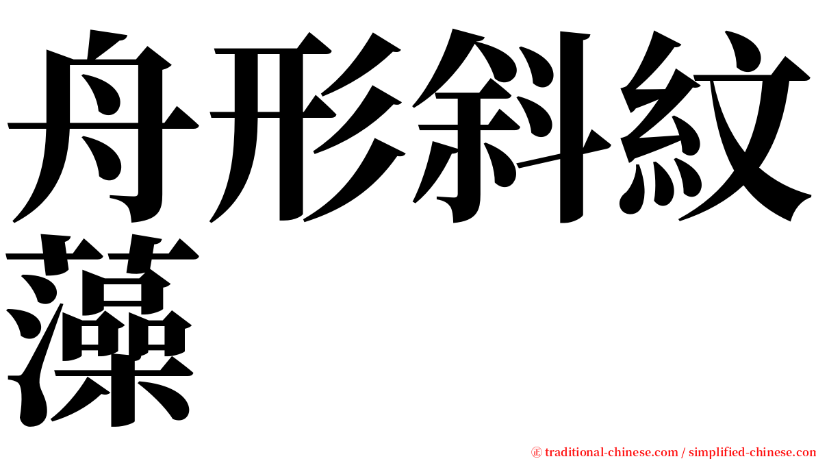 舟形斜紋藻 serif font