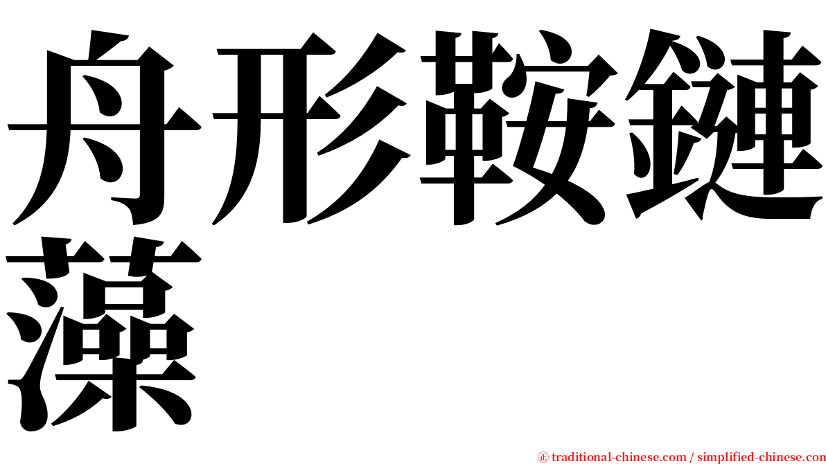 舟形鞍鏈藻 serif font