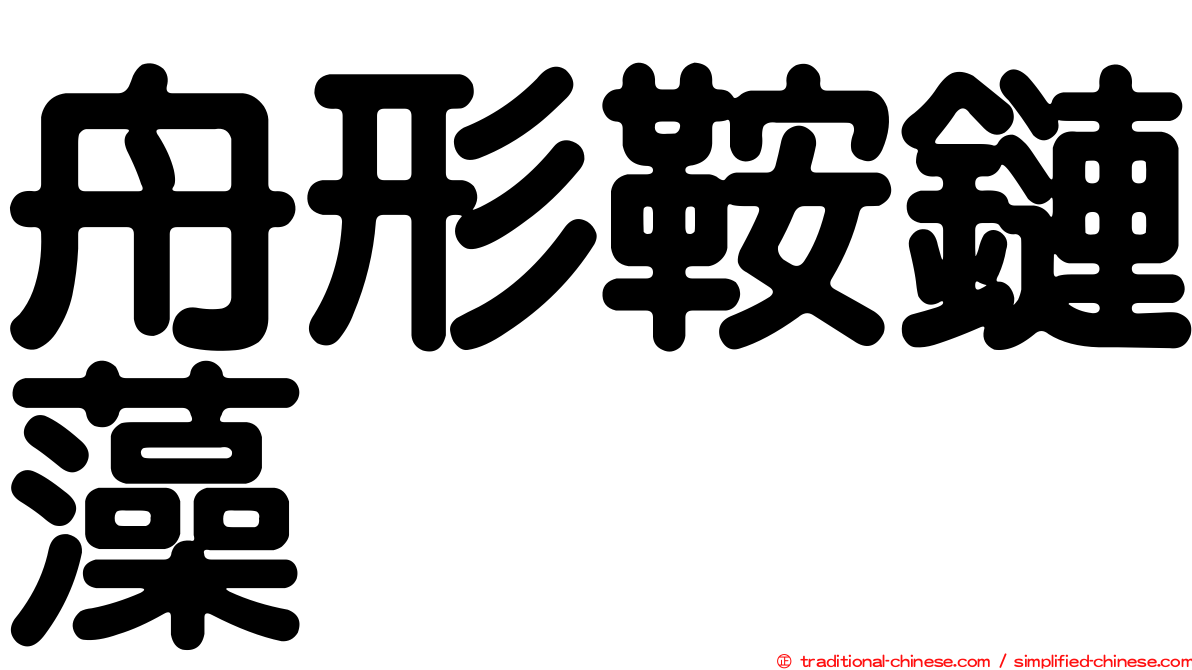 舟形鞍鏈藻
