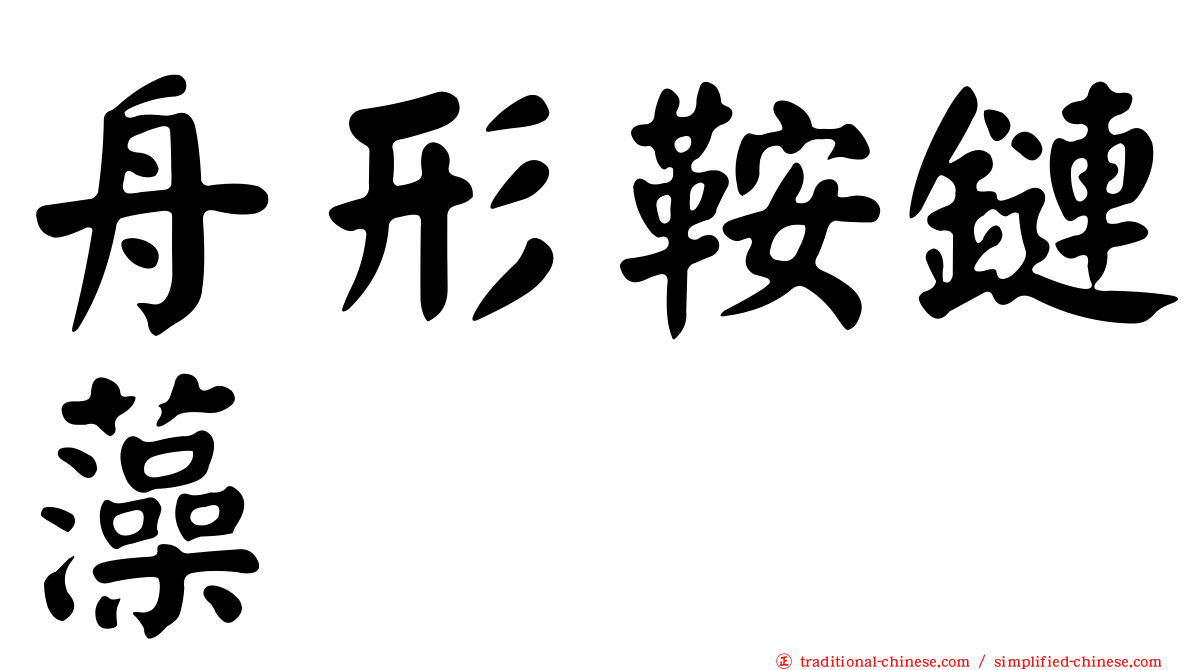 舟形鞍鏈藻