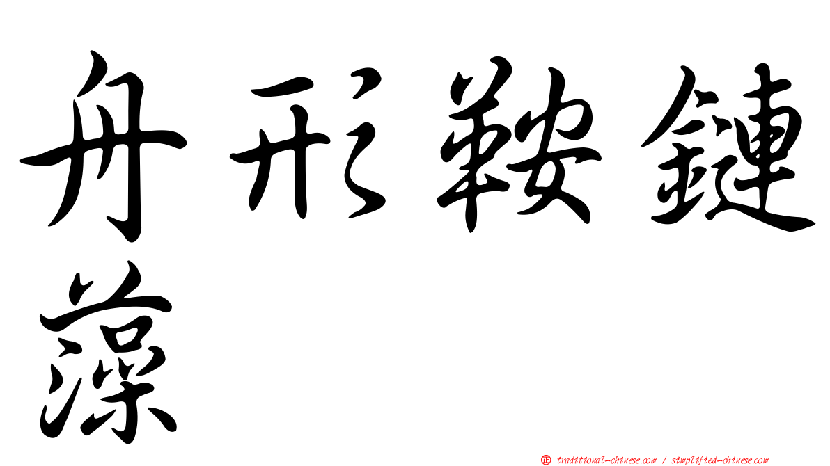 舟形鞍鏈藻